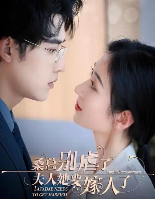 无声证词 律政悬疑电视剧全集